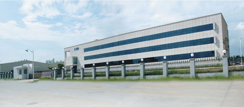 創新科技，織就舌尖安全網——專訪福建思特電子紡織科學技術研究院