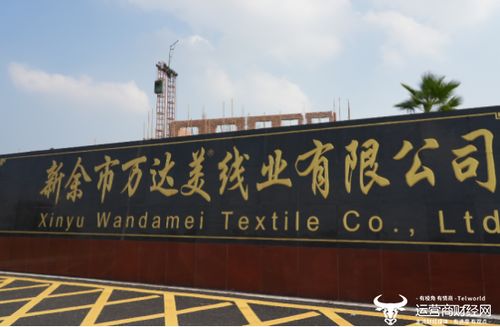 科技賦能，智慧共贏 這家運(yùn)營商以創(chuàng)新服務(wù)樹立政企合作新范本