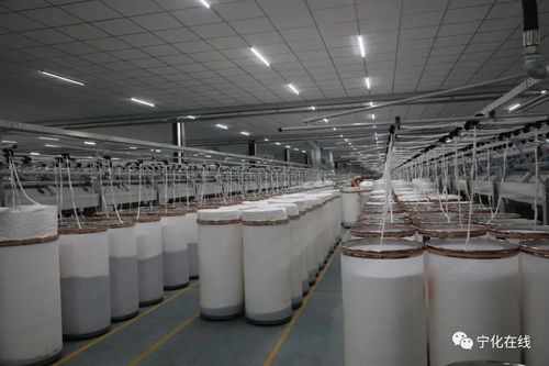 寧化長寧紡織 以科技創新為引擎，激活產業新動能